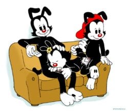 animaniacs black_fur color cum dot_warner fellatio female feral fur insertion male nude oral penis red_nose remote sex sitting stefanescu straight wakko_warner white_fur yakko_warner