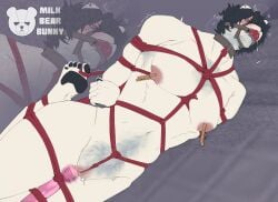 andromorph anthro arms_tied ball_gag bear bent_legs black_hair body_hair bondage bound bunny_(milkbearbunny) chest_tuft collar cuntboy english_text facial_hair fur furry gag gagged genitals hair hands_behind_back happy_trail hi_res intersex legs_tied lips lying mammal milkbearbunny muzzle_(object) muzzle_gag muzzled nipples on_side pecs pubes purple_background pussy restraints rope rope_bondage rope_harness sex_toy simple_background solo submissive submissive_andromorph submissive_anthro submissive_intersex text thick_bottom_lip tuft vibrator vibrator_on_pussy wand_vibrator white_body white_fur