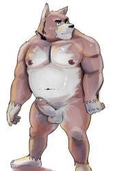 2021 anthro belly brown_body canid canine canis censored domestic_dog erection furry genitals highres humanoid_genitalia humanoid_hands humanoid_penis kemono male mammal moobs navel nipples overweight overweight_male penis simple_background solo testicles ujishiyo white_background