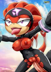 bbmbbf furry male mobius_unleashed palcomix sega shade_the_echidna sonic_(series) torn_clothes