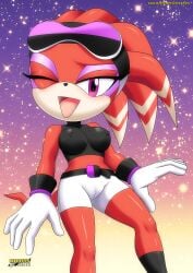 bbmbbf cameltoe erect_nipples female furry looking_at_viewer mobius_unleashed palcomix sega shade_the_echidna short_shorts sonic_(series) sonic_riders tight_clothing tight_shorts wink