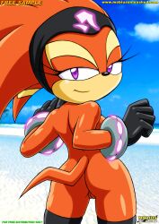 1girls anthro ass bbmbbf beach echidna female furry gloves headband legwear looking_at_viewer looking_back mobius_unleashed nude palcomix pussy sega shade_the_echidna solo sonic_(series) sonic_chronicles:_the_dark_brotherhood sonic_the_hedgehog_(series) tail