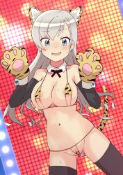 animal_ears animal_hands bikini black_legwear blue_eyes blush braid braided_bangs breasts commentary_request detached_sleeves dutch_angle earrings fake_animal_ears fake_tail female female grey_hair highres hisakawa_hayate idolmaster idolmaster_cinderella_girls jewelry large_breasts looking_at_viewer micro_bikini milkmochi navel solo string_bikini swimsuit tail thighhighs tiger_stripes