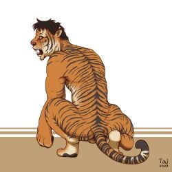 2022 ass balls crouching felid feral fur genitals glowing glowing_eyes hair hi_res human humanoid looking_aside male mammal nude pantherine pawpads paws rear_view sharp_teeth snout solo species_transformation striped_body striped_fur stripes taitora teeth tiger transformation were werefelid werepantherine weretiger