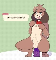 2021 absurd_res anal anal_sex animal_crossing animal_genitalia animal_penis anthro balls brown_body brown_fur canid canine canine_penis canis collar digby_(animal_crossing) digital_drawing_(artwork) digital_media_(artwork) dildo dildo_in_ass dildo_insertion dog_pose domestic_dog english_text fur genitals good_boy hi_res male male_only male_penetrated male_solo mammal maynara nintendo nude penetration penis proud sex_toy sex_toy_in_ass sex_toy_insertion simple_background solo_male squatting squatting_on_dildo text video_games