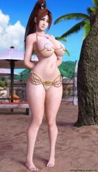 1girls 3d 3d_(artwork) beach brown_hair day fatal_fury feet female female_focus female_only foot hazel_eyes huge_breasts king_of_fighters long_hair mai_shiranui outdoors outside palm_tree sand sea seashell_bikini seashell_bra seashell_pasties seaside sky snk solo solo_female solo_focus the_majestic venus_bikini voluptuous