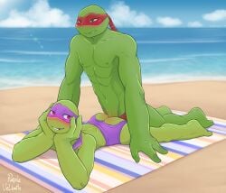 absurd_res anal anal_sex anthro beach beach_sex brother brothers butt_window clothed clothing donatello_(tmnt) duo hi_res incest male male/male partially_clothed penetration purplevelbeth raphael_(tmnt) reptile scalie seaside shell-less sibling teenage_mutant_ninja_turtles teenage_mutant_ninja_turtles_(2012) tmnt_2012 turtle underwear yaoi