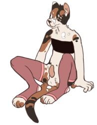 anthro balls biped chest_binder clothed clothing domestic_cat erection felid feline felis fur genitals legwear male mammal multicolored_body multicolored_fur partially_clothed penis pink_stockings simple_background solo stockings tagme unknown_artist white_background