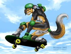 2002 anthro armor backsack balls brown_eyes canid canine clothing dated ear_piercing ear_ring elbow_pads falstaff_(jessica_willard) footwear genitals gloves handwear headgear helmet knee_pads male male_only mammal piercing ring_piercing shoes skateboard sneakers socks solo tail tail_wraps vehicle wookiee_(furry_artist) wooky wraps