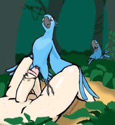animal_genitalia avian bird blu_(rio) blue_sky_studios cloaca faceless_character faceless_male female feral genitals human imminent_sex infidelity interspecies jewel_(rio) macaw male male/female male_on_feral mammal neotropical_parrot parrot rio_(series) self size_difference smaller_female smaller_feral solo true_parrot verotismus