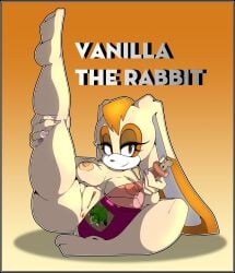 alcohol alcohol_bottle anthro anus beverage beverage_bottle bottle breasts brown_background brown_body brown_eyes brown_fur butt colored_nails container dimensionalhub duo feet female fur genitals head_tuft hi_res lagomorph leporid long_ears male mammal nails narrowed_eyes nipples nude nude_female rabbit raised_leg ring_(jewelry) sega simple_background sitting smile sonic_(series) sonic_the_hedgehog_(series) tan_nipples tuft vanilla_the_rabbit vector_the_crocodile vulva