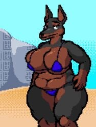 animal_humanoid animated anthro big_breasts big_butt bikini bikini_aside bikini_bottom bikini_removed bikini_top bikini_top_removed breasts butt butt_jiggle canid canid_humanoid canine canine_humanoid canis clothing clothing_aside digital_media_(artwork) dog_humanoid domestic_dog female furry genitals hi_res humanoid jiggle_physics jiggling langui mammal mammal_humanoid pixel_(artwork) pixel_animation pixelated smile swimwear swimwear_aside thick_thighs thigh_jiggle two-piece_swimsuit wide_hips
