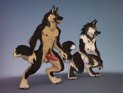 absurd_res animal_genitalia animal_penis anthro balls beau_(williamca) bodily_fluids breasts brother_(lore) canid canine canine_genitalia canine_penis canis digital_drawing_(artwork) digital_media_(artwork) domestic_dog duo erection excited excited_expression female full-length_portrait genital_fluids genital_piercing genitals herding_dog hi_res huge_filesize knot leaking_precum male mammal multicolored_body mythological_canine mythological_creature mythology nipple_piercing nipples nude nude_female nude_male open_mouth pastoral_dog penis penis_piercing piercing portrait precum redderblood scar scrotum_piercing shaded sheath sibling_(lore) simple_background sister_(lore) skye_(williamca) werecanid werecanine werecreature weredog werewolf