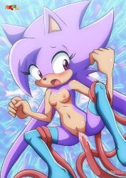 anthro bbmbbf blush blushing female female_penetrated freedom_planet fur34 hedgehog palcomix sash_lilac sash_lilac_the_hedgehog tentacle tentacle_in_pussy tentacle_on_female tentacle_penetration twintails video_games