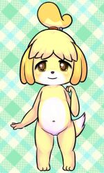 abstract_background animal_crossing anthro barely_visible_genitalia barely_visible_pussy brown_eyes bunnag canid canine canis domestic_dog featureless_chest feet female flat_chested fur genitals isabelle_(animal_crossing) looking_at_viewer mammal navel nintendo nude pattern_background pussy shih_tzu simple_background smile solo standing toy_dog video_games white_body white_fur yellow_body yellow_fur