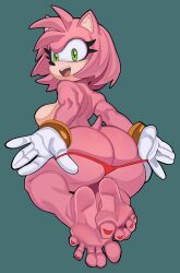 amy rose from sega by exnezo