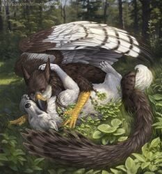 ambiguous_gender avian beak black_beak black_nose brown_body brown_feathers canid canine closed_eyes day duo ears_back feathered_wings feathers feral fur grass gryphon hi_res himeragoldtail hug licking licking_another lying mammal mythological_avian mythological_creature mythology on_back outside pivoted_ears plant text tongue tree url white_body white_feathers white_fur wings