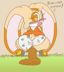all_fours anus ass clothed clothin feces female footwear gaping gaping_anus partially_clothed presenting presenting_hindquarters pussy scat shoes sonic_(series) squat squatting squatting_position