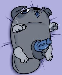 body_pillow body_pillow_design bodypillow canine dakimakura dandy's_world feral male male_only nonplayerchar pebble_(dandy's_world) solo_male zoophilia zoophilia