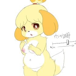 animal_crossing anthro areola belly blush breasts bunnag canid canine canis domestic_dog female fur furry furry_only genitals isabelle_(animal_crossing) japanese_text looking_at_viewer mammal navel nintendo nipples nude open_mouth overweight overweight_anthro overweight_female pussy shih_tzu simple_background solo tail text thick_thighs toy_dog video_games weight_gain white_background yellow_body yellow_fur