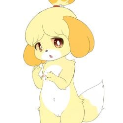 animal_crossing anthro blush breasts bunnag canid canine canis domestic_dog female fur furry furry_only genitals isabelle_(animal_crossing) looking_at_viewer mammal navel nintendo nipples nude open_mouth pussy shih_tzu simple_background small_breasts solo tail toy_dog video_games white_background yellow_body yellow_fur