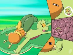 anal cimche cunnilingus duo female feral hi_res internal male male/female nintendo oral pokémon_(species) pokemon pokemon_only rimming sex torchic treecko vaginal_penetration video_games