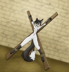 anthro ashtar bondage bondage bound breasts canid canine captured claws crucified crucifixion digital_media_(artwork) feet female fennec fox mammal navel nipples nude restrained restraints rope rope_bondage saint_andrew's_cross shellyghast solo spread_eagle toe_claws