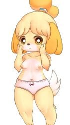 animal_crossing anthro areola barefoot blush bow_panties breasts bunnag canid canine canis clothed clothing domestic_dog feet female fur hand_on_face hi_res isabelle_(animal_crossing) looking_at_viewer mammal navel nintendo nipples panties panties_only pink_clothing pink_panties pink_underwear shih_tzu simple_background solo topless toy_dog underwear underwear_only video_games white_background yellow_body yellow_fur