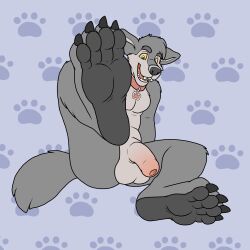 1:1 2017 4_toes anthro balls big_feet blueballs canid canine canis claws collar collar_only countershade_feet countershading feet foot_fetish foot_focus footprint foreskin genitals green_eyes hi_res humanoid_genitalia humanoid_penis looking_at_viewer male male_only mammal multicolored_body nude open_mouth pawprint pawprint_marking paws penis raised_leg soles solo toe_claws toes two_tone_body wolf yellow_sclera