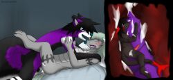 anthro balls bed belly_scales black_body black_fur black_hair blue_eyes blue_tongue blush bodily_fluids breasts canid canine canis claws closed_eyes cum cum_inside cum_on_arm cum_on_face cum_on_feet cum_on_leg cum_on_penis cum_on_tail cylia_(dolphy) dolphy_(character) dragon ear_tuft embrace equinoxthefox female fish from_front_position fur furniture genital_fluids genitals giru_(artist) grey_body grey_hair grey_scales group group_sex hair hand_on_shoulder happy hug hybrid internal legs_around_partner looking_at_another looking_at_partner looking_pleasured lying male male/female mammal marine markings micro micro_on_penis nose_lick on_back on_bed penetration penile penile_penetration penis penis_hug purple_body purple_eyes purple_fur purple_penis pussy_juice pussy_juice_on_arm pussy_juice_on_leg pussy_juice_on_penis pussy_juice_string red_body red_fur saliva saliva_on_face scale_markings scales sex shark threesome tongue tuft unbirthing vaginal_penetration vaginal_penetration vore white_body white_fur wolf