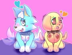 2022 animal_crossing breasts canine collar domestic_dog dsmm dsmm_(artist) golden_retriever goldie_(animal_crossing) nintendo nipples pussy skye_(animal_crossing) wolf