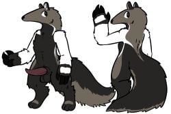 3:2 alpha_channel anteater anthro fur genitals hi_res long_snout male mammal model_sheet nude penis pilosan snout solo trout_(artist) xenarthran