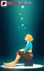 1girls 2026 ai_generated artist_name bangs blonde_hair blue_butterfly braid bug butterfly electroworld female fingerless_gloves green_eyes hair_ornament hi_res high_quality high_resolution highres night night_sky pants patreon patreon_username pointy_ears princess_zelda shooting_star short_hair sitting sky space stable_diffusion star_(sky) starry_sky watermark zelda_(breath_of_the_wild)