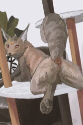 anatomically_correct anatomically_correct_genitalia anatomically_correct_pussy anatomically_correct_vulva animal_genitalia animal_pussy animal_vulva anus ass cosmiclife domestic_cat ear_tuft felid feline feline_genitalia feline_pussy feline_vulva felis female feral fluffy fluffy_tail genitals hi_res looking_at_viewer looking_back looking_back_at_viewer lying mammal on_front presenting presenting_hindquarters pupils pussy raised_tail realistic_feral slit_pupils solo tail tuft vulva