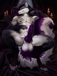 abs alternative_fashion anthro balls big_balls black_hair black_sclera bleak_ambiance candle canid canine claws clenched_teeth curtains erection fire fox fur genitals goth grey_body grey_fur hahazzar hair hi_res kitune knot large_pectorals leather male male_focus mammal multicolored_hair muscular muscular_male mythological_canine mythological_creature mythology navel nipples organs pecs penis pillow pink_body pink_fur restrained short_hair solo spread_legs spreading stomach tail teeth werecanid werecanine werecreature werewolf