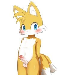 1boy furry male male_only miles_prower miles_tails_prower penis sega solo sonic_(series) sonic_the_hedgehog_(series) sum tails_the_fox