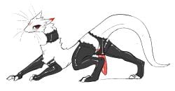 all_fours big_penis choker clothed clothing dragon femboy feral fingerless_armwear footwear fur furred_dragon furred_scalie gagaga_ram genitals jewelry legwear lingerie lingerie_on_feral long_penis looking_at_viewer male markings mythological_creature mythological_scalie mythology necklace partially_clothed partially_clothed_feral penis penis_through_clothing penis_through_underwear red_eyes red_markings scalie solo tapering_tail thigh_highs toeless_footwear whiskers white_body white_fur