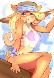 coco bandicoot from crash (series)