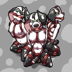 101_dalmatian_street 101_dalmatians 1:1 3boys angry angry_expression angry_face angry_male anthro anthro_focus anthro_male anthro_only anthrofied anthropomorphic areola ass ball_gag ball_gagged balls bassybefuddle black_balls black_body black_fur black_nose black_penis bondage bound bound_arms brother brothers canid canine canis cock conditional_dnp dalmatian dick digital_media_(artwork) dimitri_1_(101_dalmatians) dimitri_2_(101_dalmatians) dimitri_3_(101_dalmatians) dimitri_trio_(101_dalmatians) disney domestic_canine domestic_dog erect_penis erected_penis erection fangs feet foreskin frown frowning frowning_at_viewer fur gag gagged gagged_male genitals glans green_eyes group group_bondage hair hands_behind_back hands_tied hands_tied_behind_back harness harness_ball_gag harness_gag harness_only hi_res high_resolution highres humanoid_genitals humanoid_penis incest kneeling kneeling_male looking_angry looking_at_viewer looking_back looking_back_at_viewer male male_anthro male_canine male_focus male_only mammal naked naked_anthro naked_male nipples nude nude_anthro nude_male partially_retracted_foreskin penis pink_glans pink_nipples restrained restrained_arms restraints rope rope_bondage rope_harness siblings simple_background spots spotted_body spotted_fur submissive submissive_male tail teeth trio trio_focus trio_male white_body white_fur white_spots