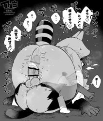 anal anus azwozw balls bonobono duo erection feral genitals gulonine hi_res japanese_text male mammal monochrome mustelid musteline papa_araiguma_(bonobono) papa_guzuri_(bonobono) penis procyonid raccoon raised_tail tail text wolverine