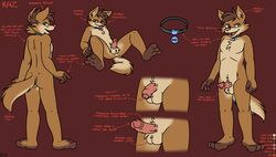 3_toes anthro ass balls canine collar english_text erection flaccid male mammal model_sheet nanimoose penis plantigrade presenting raz_(nanimoose) text toes