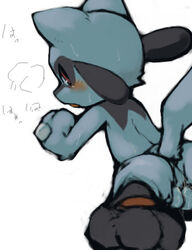 color furry male male_only nekouri nintendo pokemon riolu solo