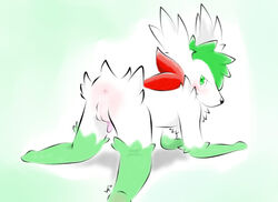 color furry male male_only nintendo pokemon pokemon_(species) rohly shaymin solo