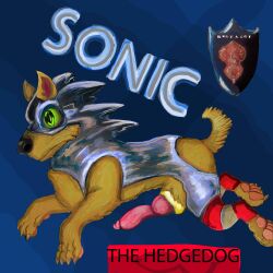 cock_ring feral golden_ring knot latex solo sonic_(series) sonic_the_hedgehog sonic_the_hedgehog_(series) transformed