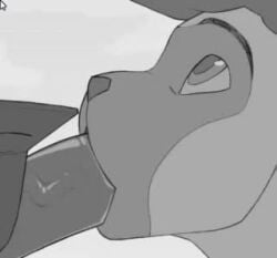 2d ambiguous_gender animated anthro black_and_white cum cum_in_mouth cum_inside drinking_cum furry no_sound simple_background swallowing swallowing_bulge tagme throbbing vein video wolfy-nail