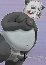 2022 anthro balls black_body black_nose blush bodily_fluids cum ejaculation erection eyewear genital_fluids genitals giant_panda glasses hi_res humanoid_genitalia humanoid_hands humanoid_penis kemono male mammal masturbation moobs nipples overweight overweight_male penis pinoren sasayama_akira solo ursid virtual_youtuber white_body