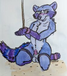 2021 animal_genitalia anthro blue_body blue_fur blush bondage bondage bound embarrassed fur genitals hands_tied hi_res male mammal procyonid raccoon sheath simple_background solo submissive sushiotter_(artist) waffles_the_raccoon