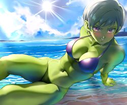 beach bikini cheelai dragon_ball dragon_ball_z head-cha-la