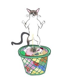 animal_genitalia balls clothing domestic_cat felid feline felis feral genitals laundry laundry_basket male mammal mephos peeing sheath siamese solo tail wet wet_clothing