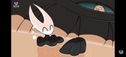 Hornet (Hollow Knight) Rule 34 Image